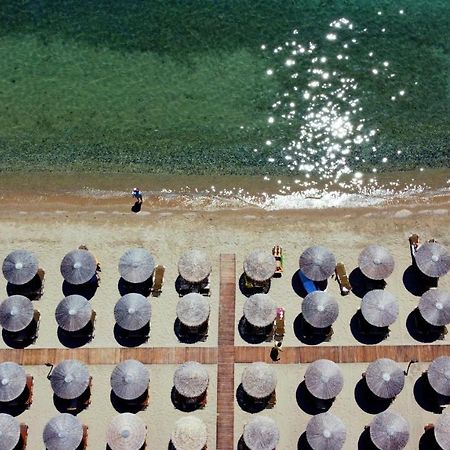 Beach Front Villa Nea Kallikrateia المظهر الخارجي الصورة