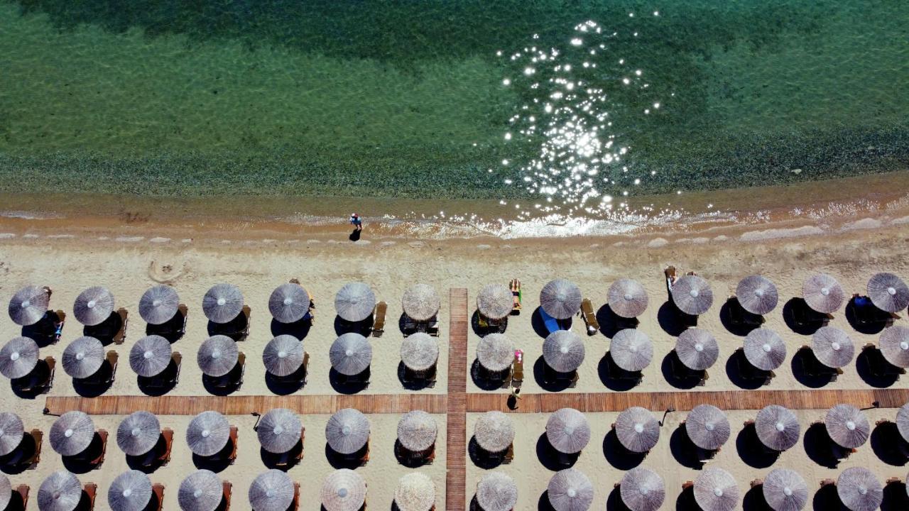 Beach Front Villa Nea Kallikrateia المظهر الخارجي الصورة
